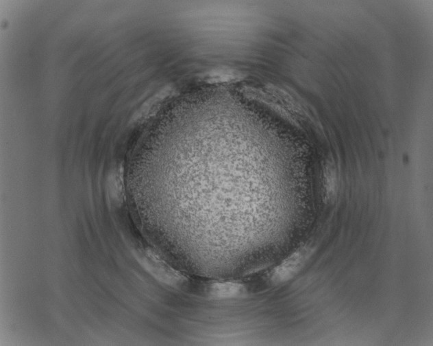 X0000070390376200606231743