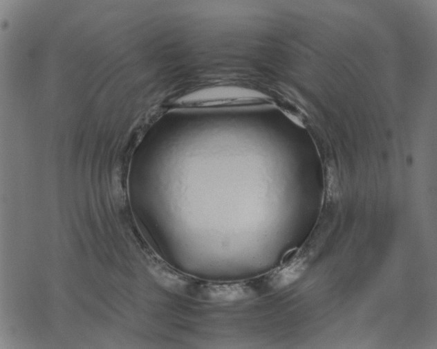 X0000070390377200606231743