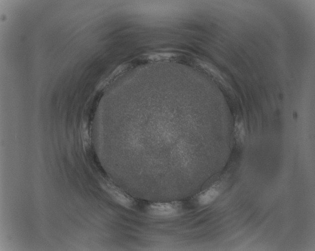 X0000070390381200606231743