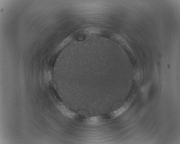 X0000070390382200606231743