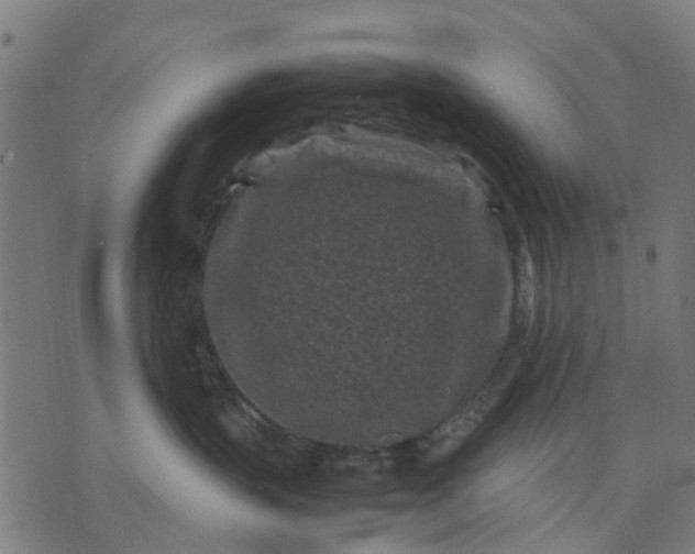 X0000070390383200606231743