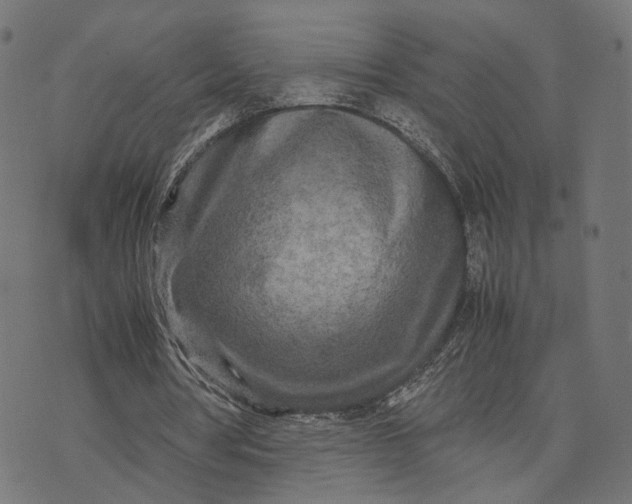 X0000070390386200606231743