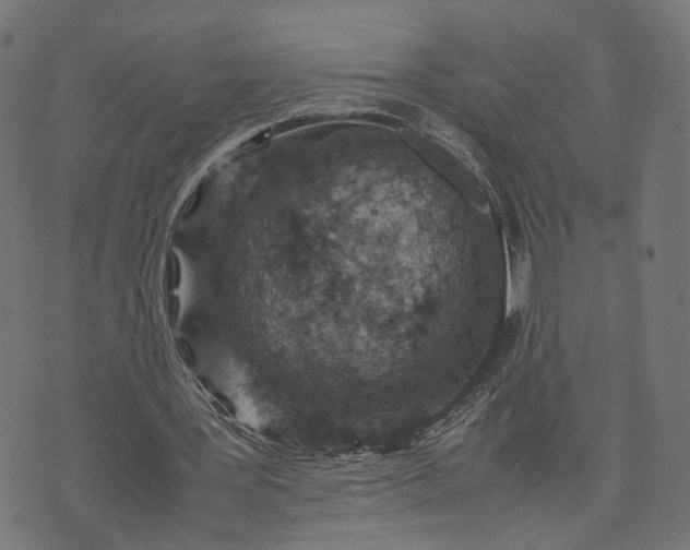 X0000070390387200606231743