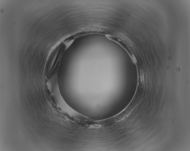 X0000070390388200606231743