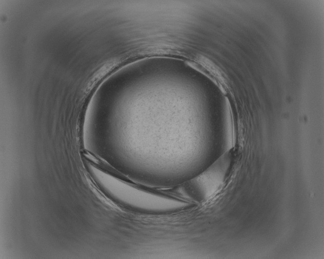 X0000070390389200606231743