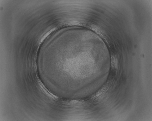 X0000070390390200606231743