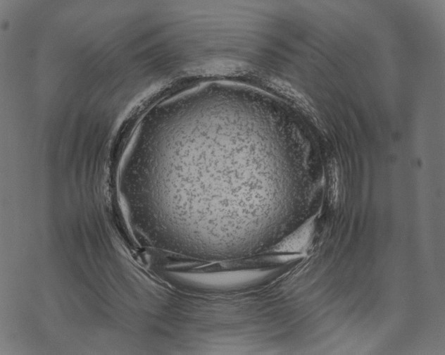 X0000070390392200606231743