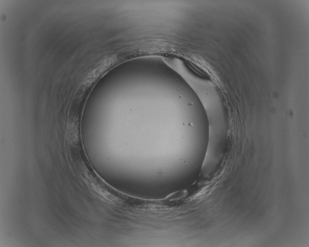 X0000070390393200606231743