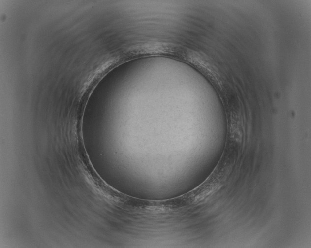 X0000070390394200606231743