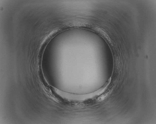 X0000070390395200606231743