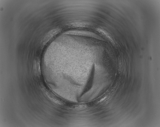 X0000070390398200606231742