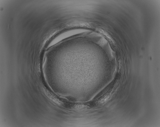 X0000070390399200606231742