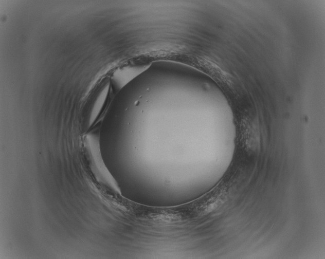 X0000070390400200606231742