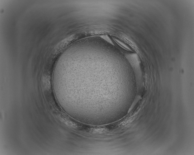 X0000070390401200606231742