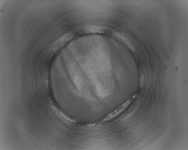 X0000070390402200606231742