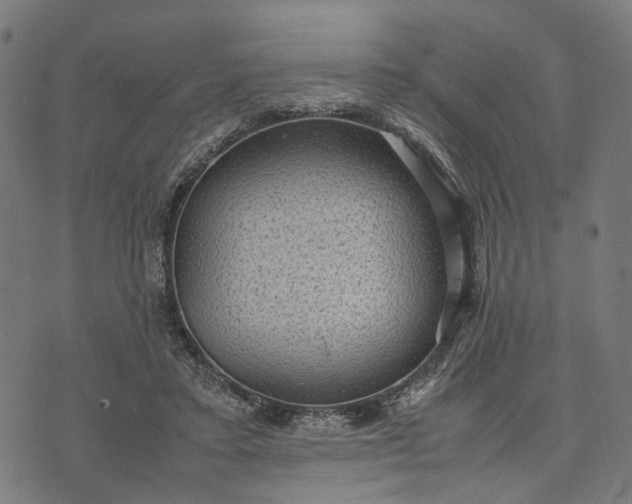 X0000070390403200606231742