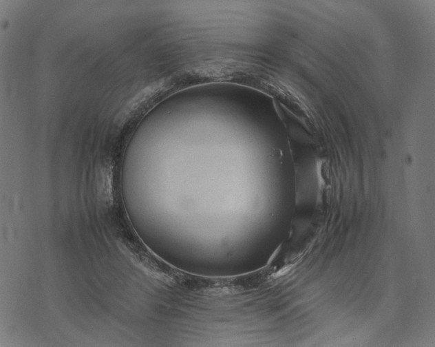 X0000070390404200606231742