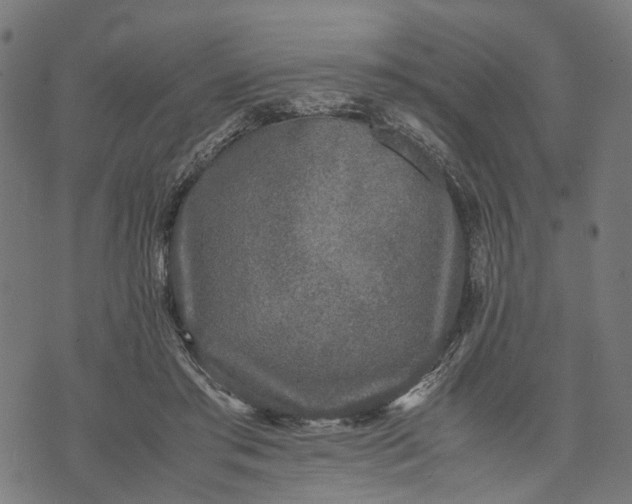 X0000070390405200606231742