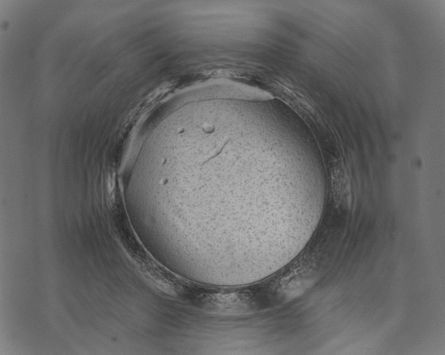 X0000070390406200606231742