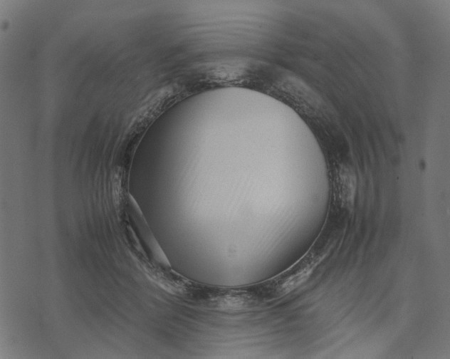 X0000070390412200606231742