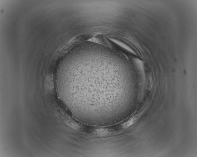 X0000070390413200606231742