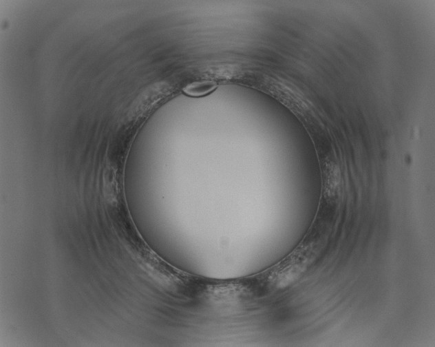 X0000070390414200606231742