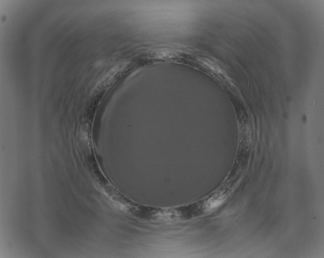 X0000070390415200606231742