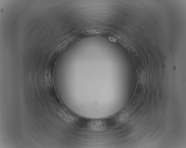 X0000070390418200606231742