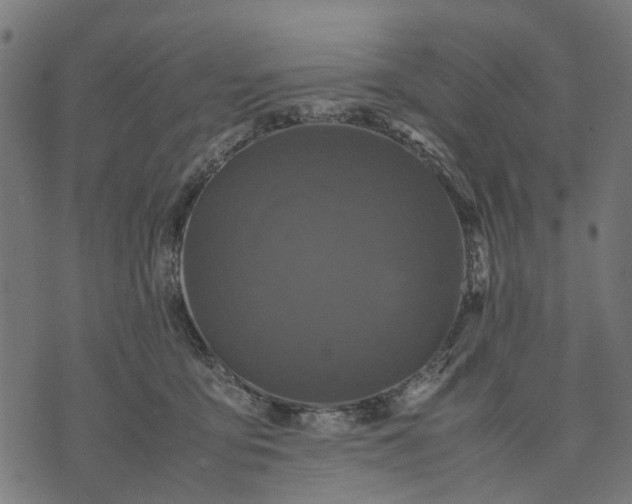 X0000070390419200606231742