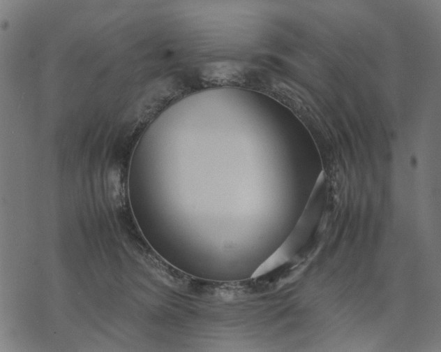 X0000070390420200606231742