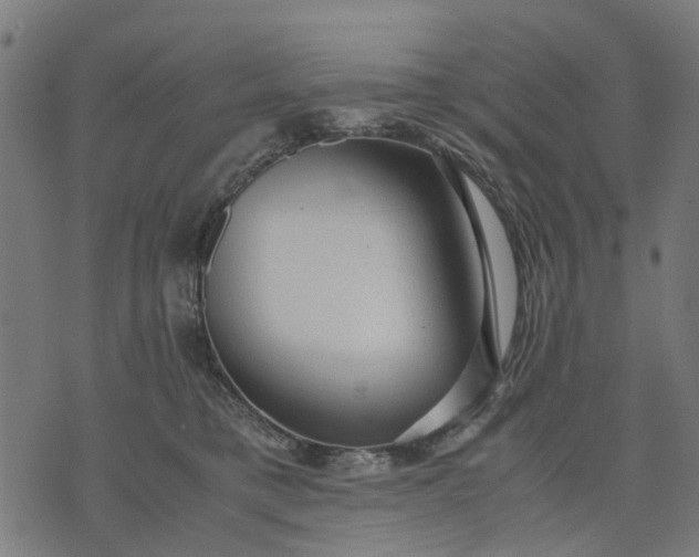 X0000070390421200606231742