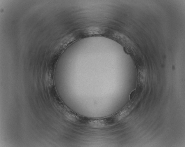 X0000070390422200606231742