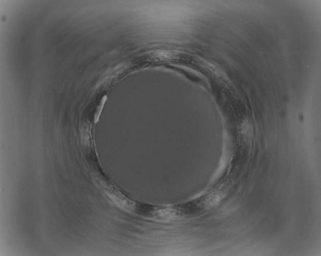 X0000070390423200606231742