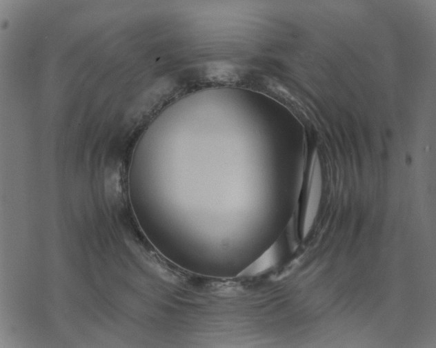 X0000070390424200606231742