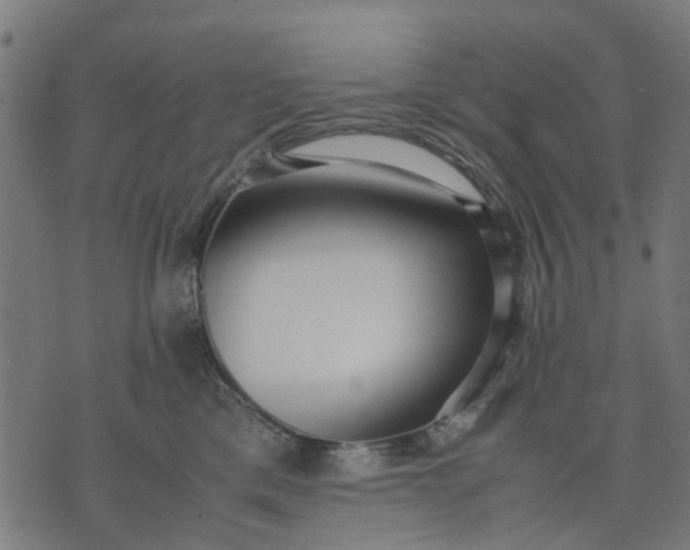 X0000070390425200606231742