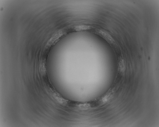 X0000070390426200606231742