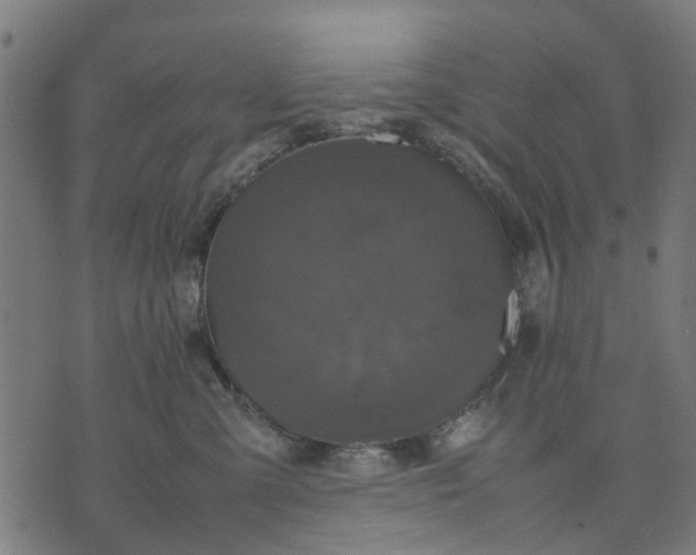 X0000070390427200606231742