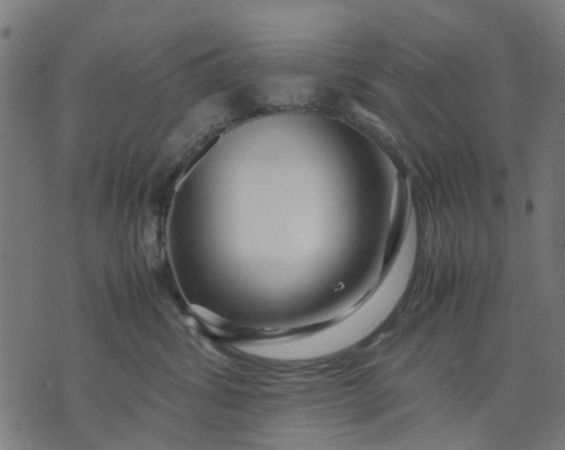 X0000070390428200606231742