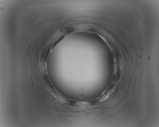 X0000070390429200606231742