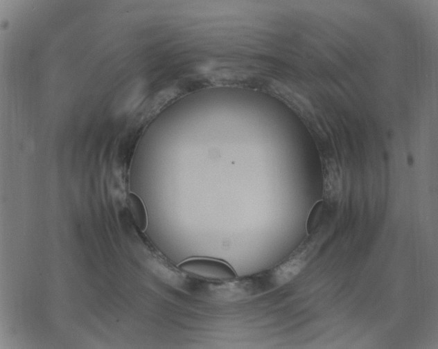 X0000070390430200606231742