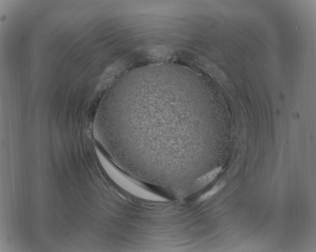 X0000070390432200606231742