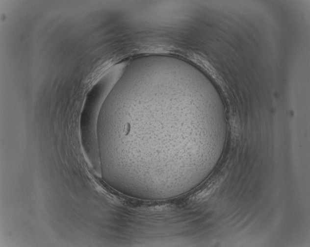 X0000070390433200606231741