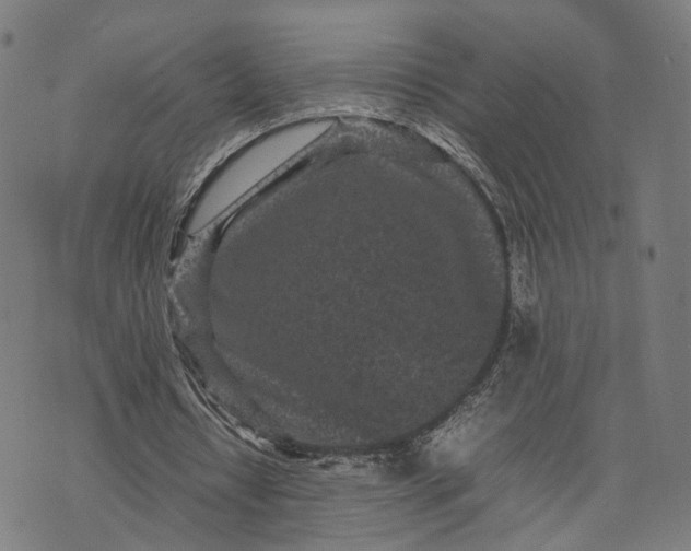 X0000070390434200606231741