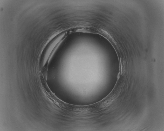 X0000070390435200606231741