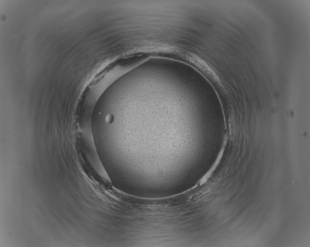 X0000070390436200606231741