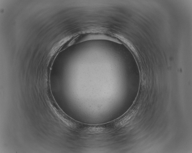 X0000070390437200606231741