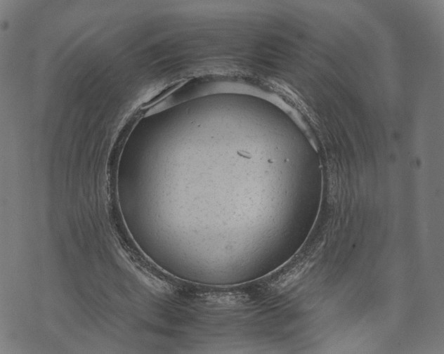 X0000070390439200606231741