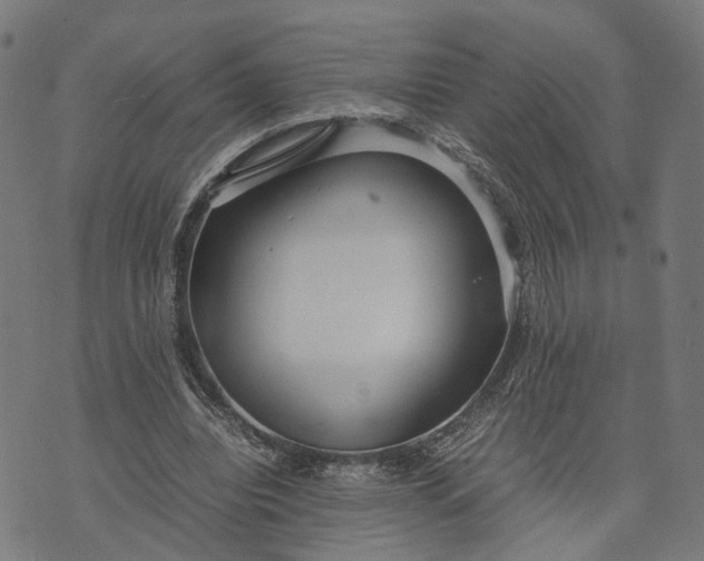 X0000070390440200606231741