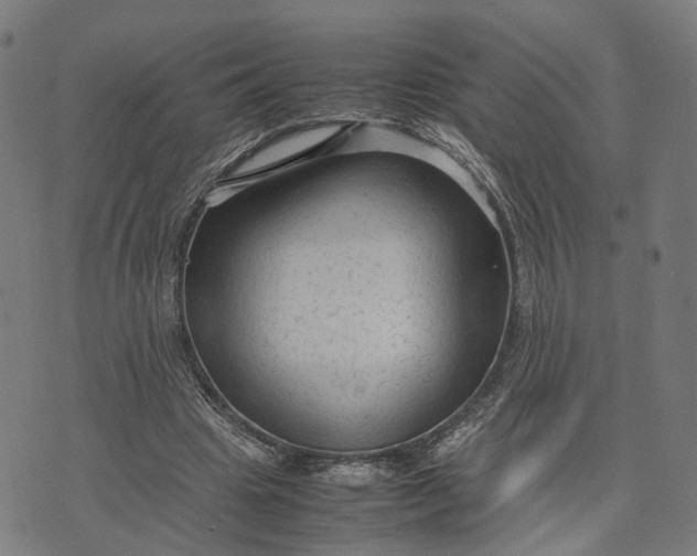 X0000070390441200606231741