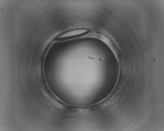 X0000070390442200606231741